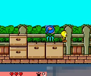 金丝雀大冒险日版apk