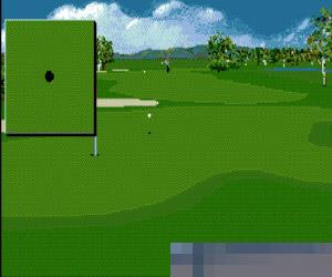 职业高尔夫球赛3 (PGA Tour Golf III) 日美欧版 手机版