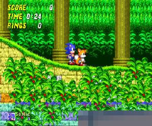 音速小子2 (Sonic the Hedgehog 2) 日美欧版 手机版