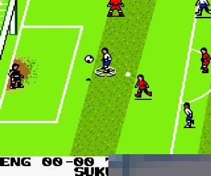 0553 - 皇家杯足球赛2000 (UEFA 2000) 欧版 手机版
