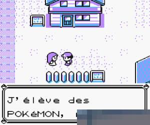 0542 - 口袋妖怪-黄 (Pokemon - Version Jaune) 日版 手机版
