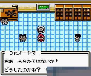 0029 - 口袋妖怪卡片战争 (Pokemon Card GB) 日版 手机版