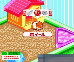 宠物系列可爱鼠2 (Nakayoshi Pet SeriesKawaii Hamster 2) 日版 手机版