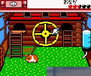 黄金鼠天堂2手机版