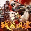 战国风云bt版