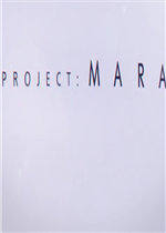 Project:MARA中文版