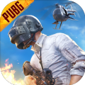 betapubgmobile