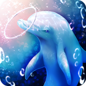 水族馆海豚经营