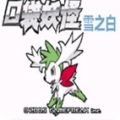 口袋妖怪究极雪之白