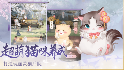 灵猫传