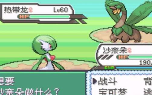 口袋妖怪:究极绿宝石