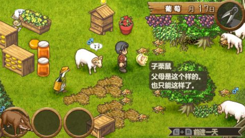 欢迎来到绵羊村