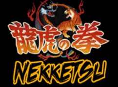 龙虎之拳破解版