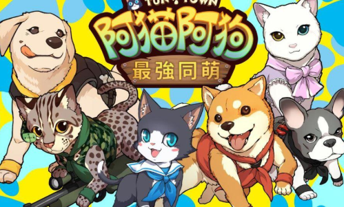 阿猫阿狗