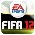 FIFA世界足球2012