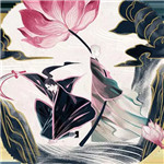 剑舞乾坤
