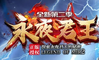 永夜君王单职业