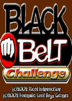 黑腰带挑战赛(Black Belt Challenge)GBA版
