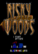 屠魔大法师(Risky Woods)MD版