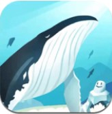 海洋动物世界