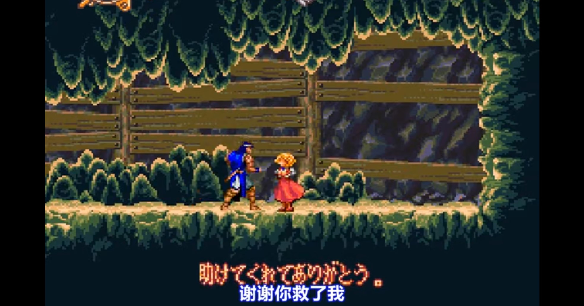 恶魔城XX无敌版