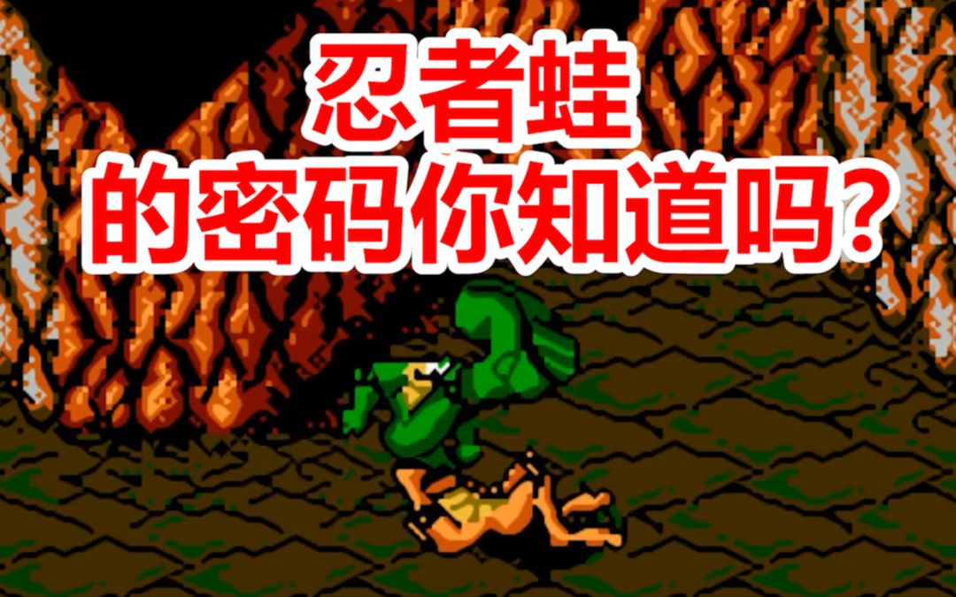 FC游戏密码教学忍者蛙游戏视频