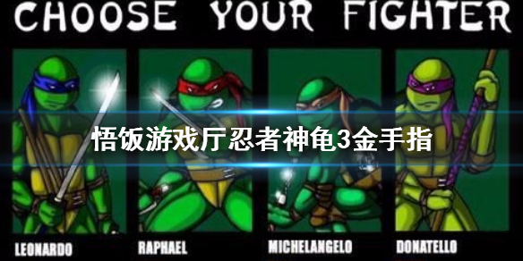 悟饭游戏厅忍者神龟3金手指代码大全