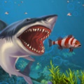海洋鲨鱼模拟器apk