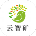 云智矿挖矿