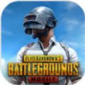 pubg国际服官方正版下载最新地址
