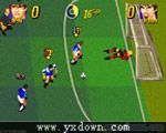 英式足球(Pleasure Goal)