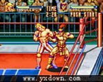 三回合较量/火线摔跤(3 Count Bout)街机版