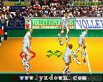 胜利排球 (Winning Spike) ROM