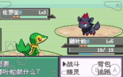 口袋妖怪漆黑的魅影