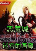 NDS恶魔城迷宫画廊金手指