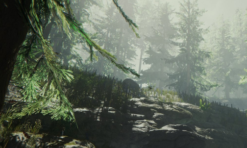 The Forest