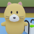 Cat Trip