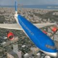Airplane Pilot Sim