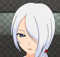 斗技女王赛琳娜