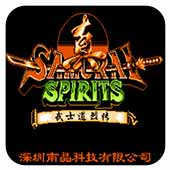 FC真侍魂武士道列传金手指版