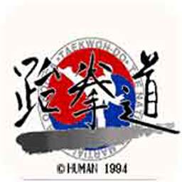 跆拳道技能加强版
