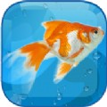 水族馆生活3D