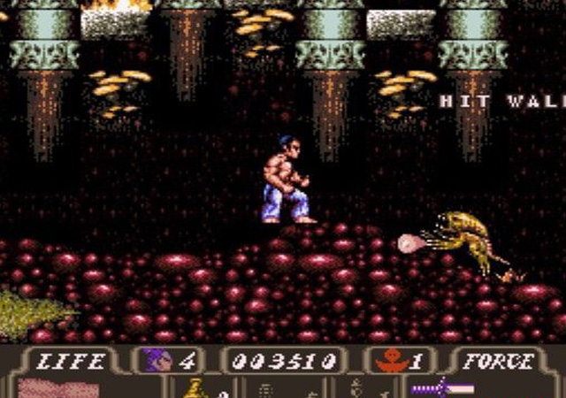 第一武士汉化移植版