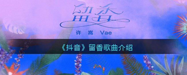《抖音》留香歌曲介绍
