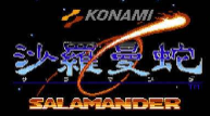 FC沙罗曼蛇子弹不减版