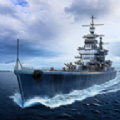 force of warships
