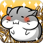 小仓鼠的生活hamster life
