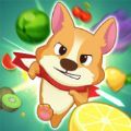 Puppy Fruit Slice
