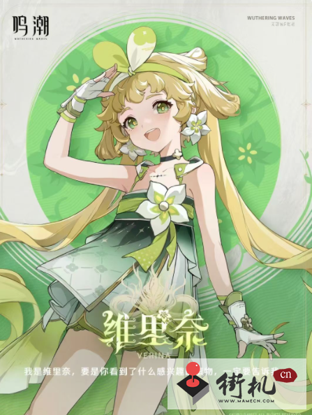鸣潮维里奈培养全面讲解